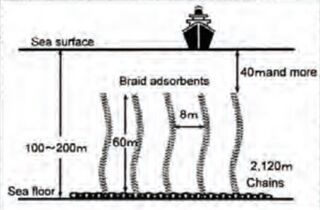 Kelp field mooring.jpg