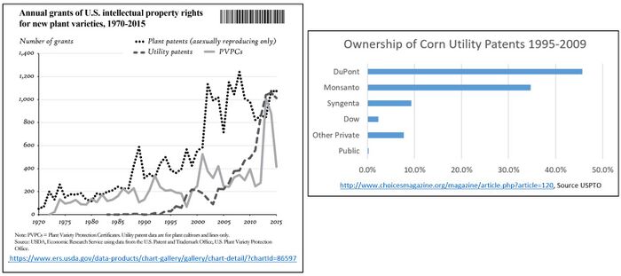 PGI Patent Trends.JPG