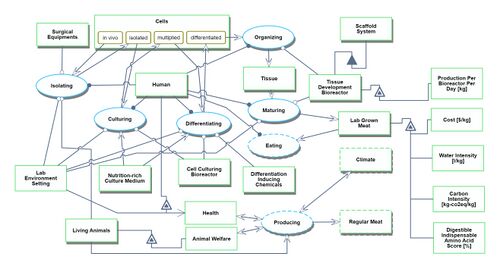 LGM OPD technosys.jpg