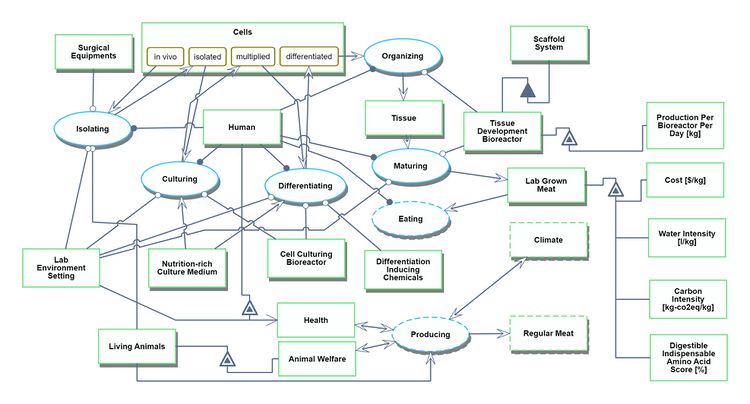 LGM OPD technosys.jpg