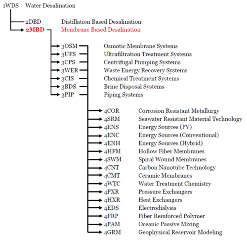 DSM structure