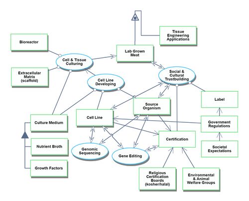 LGM OPD roadmap.jpg